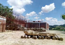Fotografia de X. Bermúdez